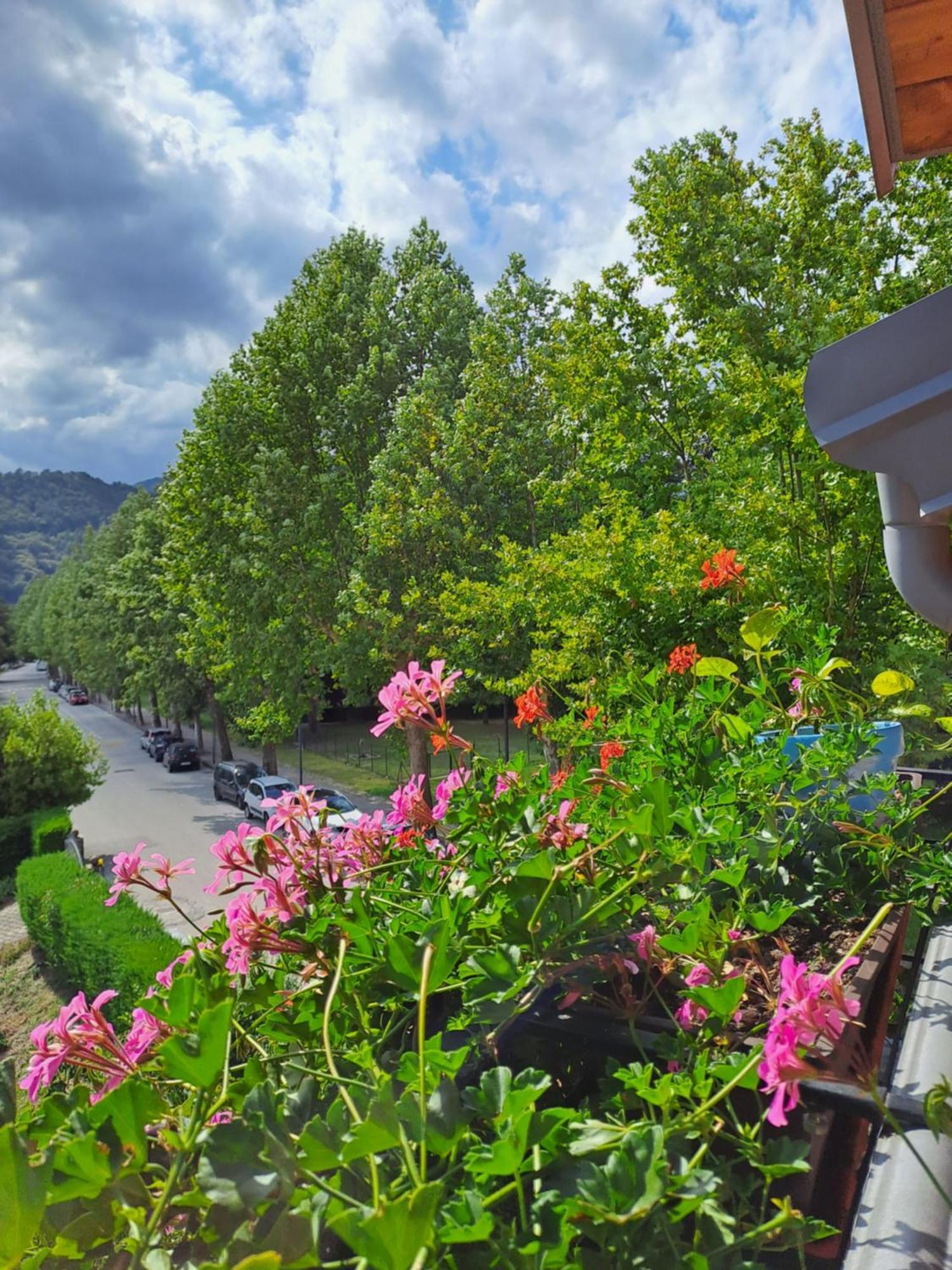 Casa Alby Apartment Levico Terme Exterior photo